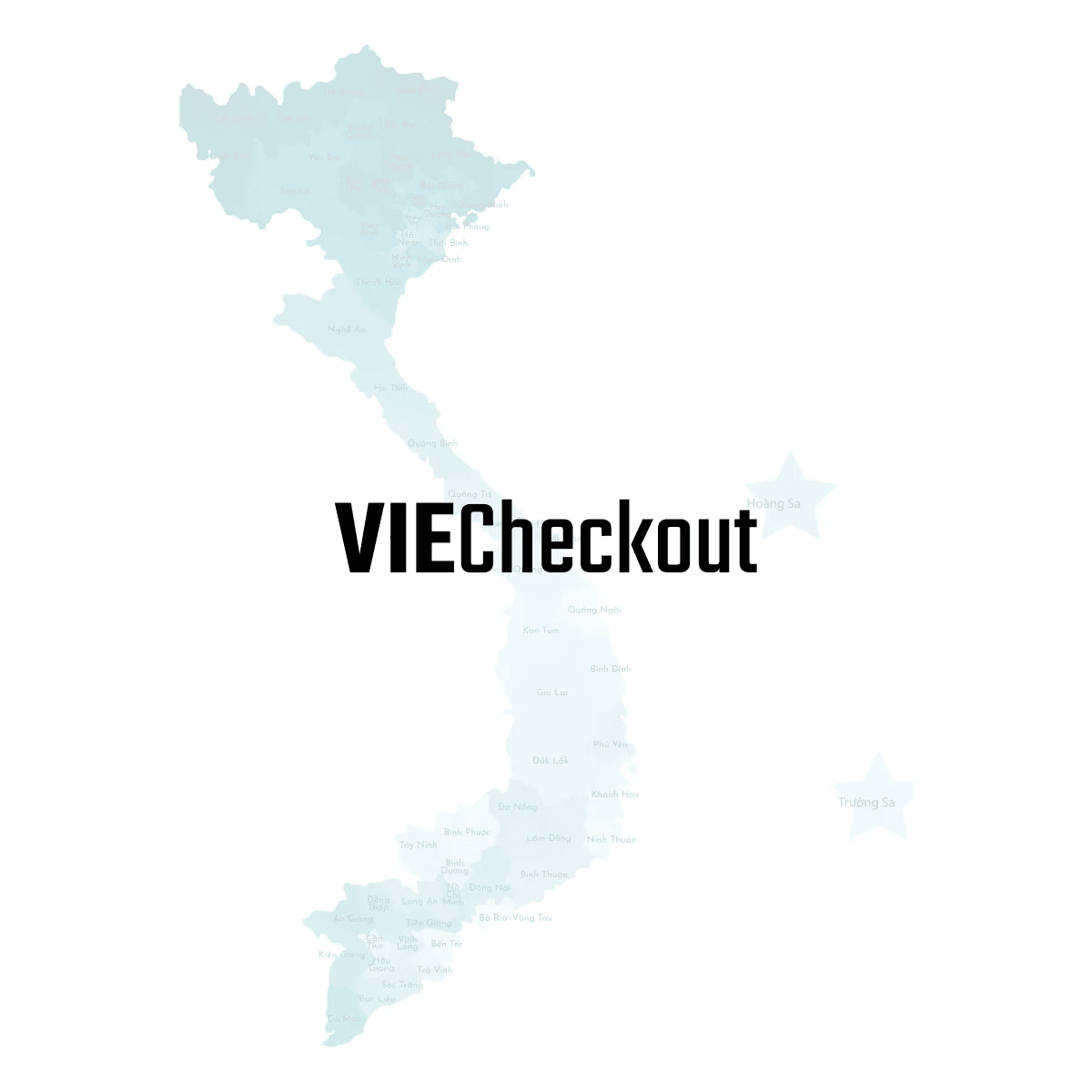 VieCheckout